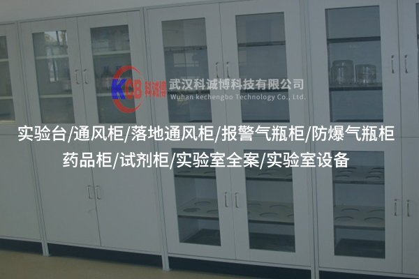 實(shí)驗(yàn)室實(shí)驗(yàn)柜的設(shè)計(jì)如何滿(mǎn)足不同實(shí)驗(yàn)需求？